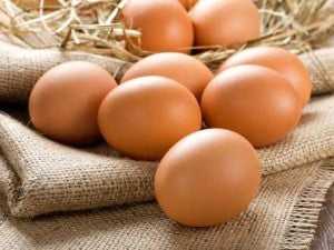 Summer Egg Share (June to October 2025)