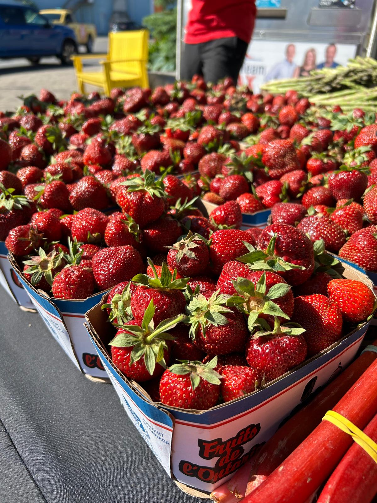 Strawberries 2L Basket