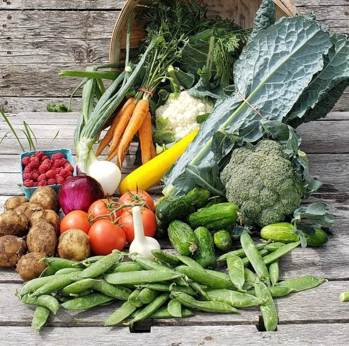 Summer Fruit & Veggie Share Weekly (Mid June- October 2025)