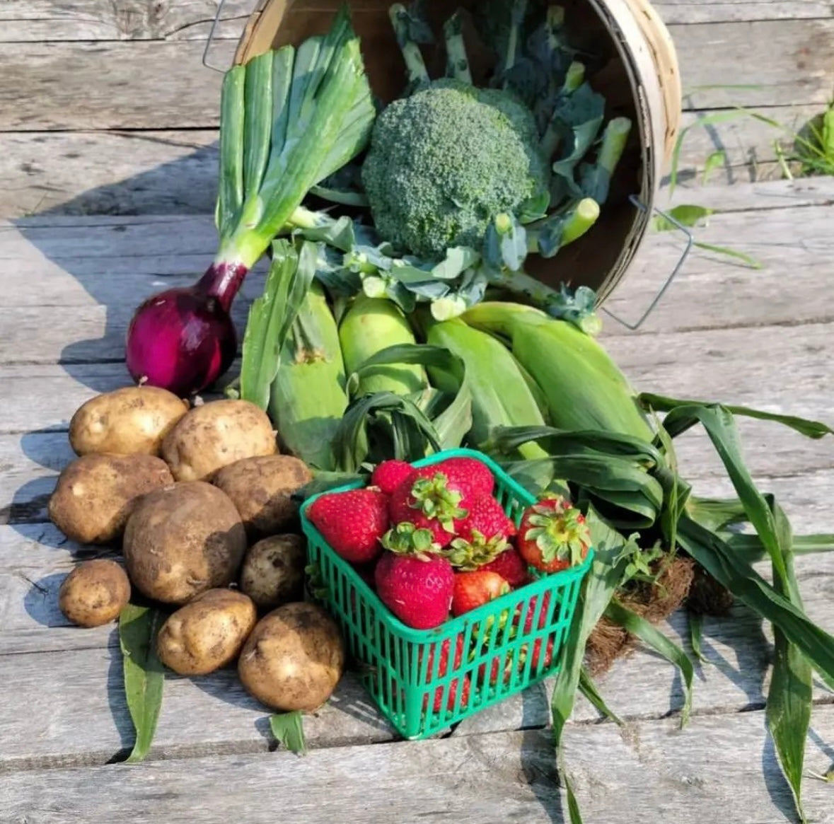 Summer Fruit & Veggie Share Weekly (Mid June- October 2025)