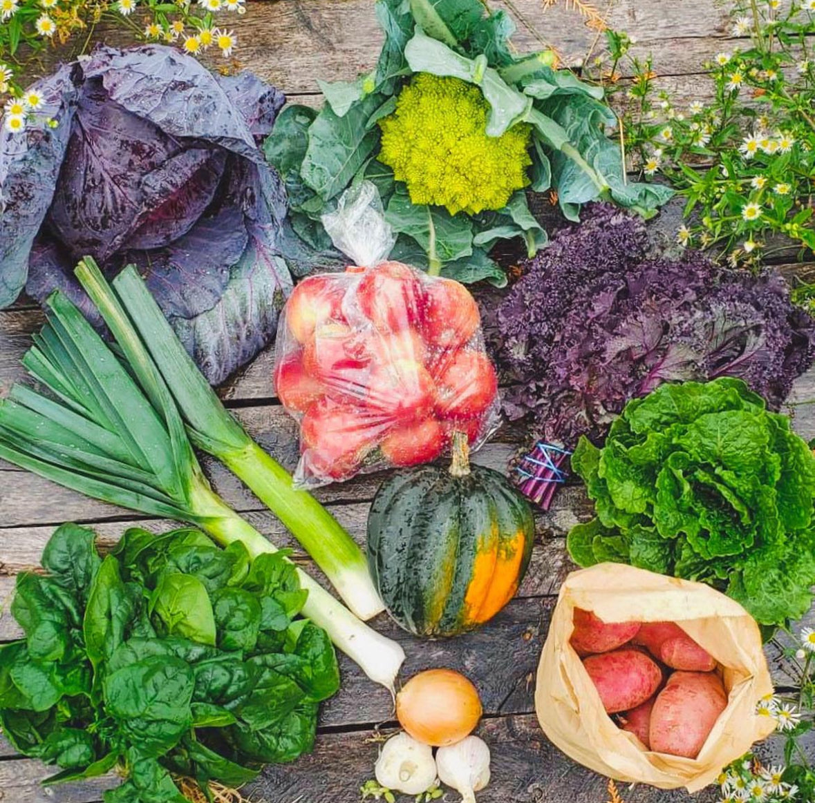 Winter Fruit & Veggie Share Bi-Weekly