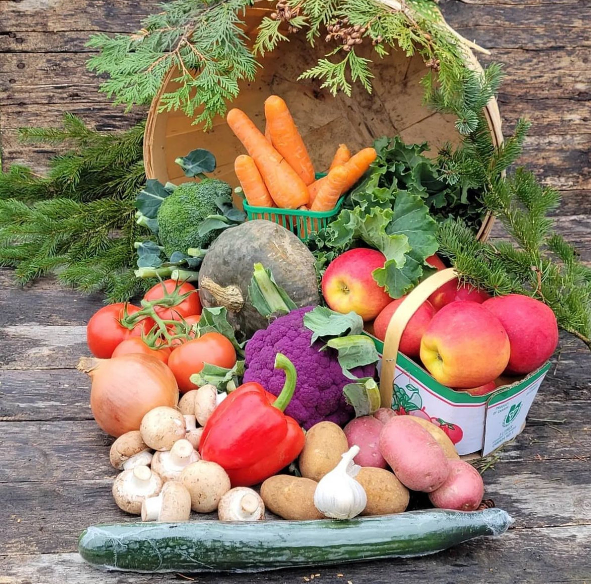 Winter Fruit & Veggie Share Bi-Weekly