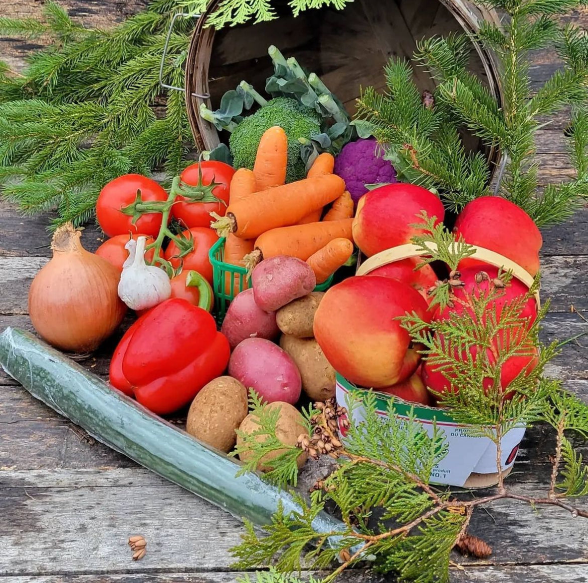 Winter Fruit & Veggie Share Bi-Weekly