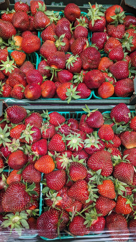 Strawberries - Flat ( 6 quarts)